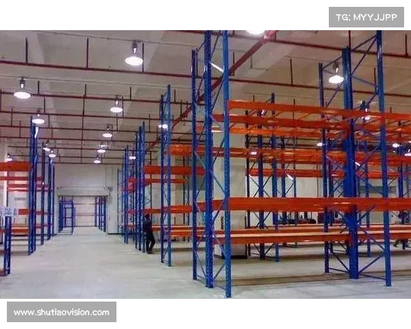 足球俱乐部引援资金管理策略与优化方案探讨